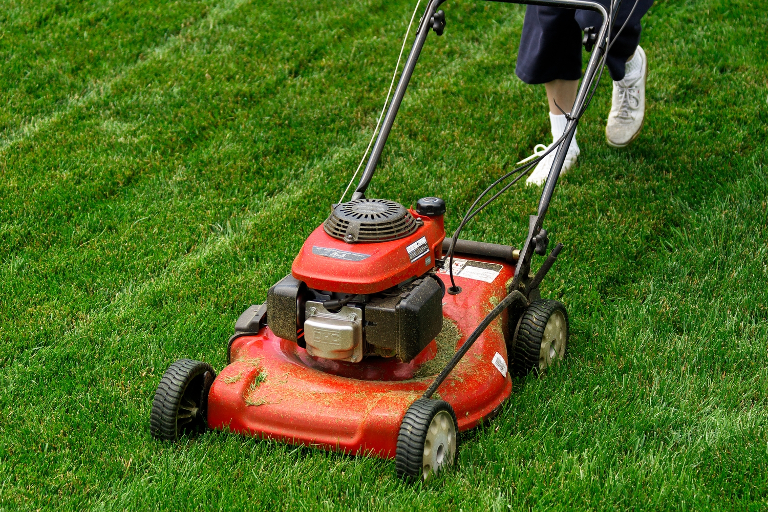 Black Friday 2024 Lawn Mower Sale: The Best Deals and Savings on Lawn Care Equipment