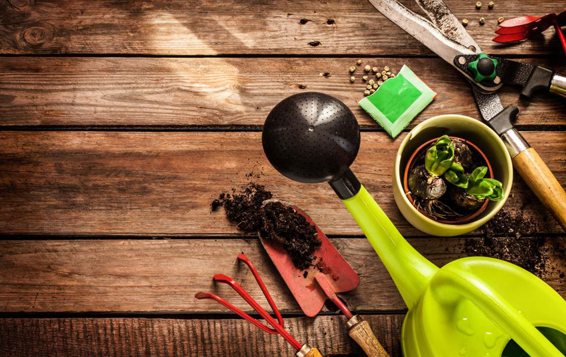 Must have gardening supplies to ensure easier gardening