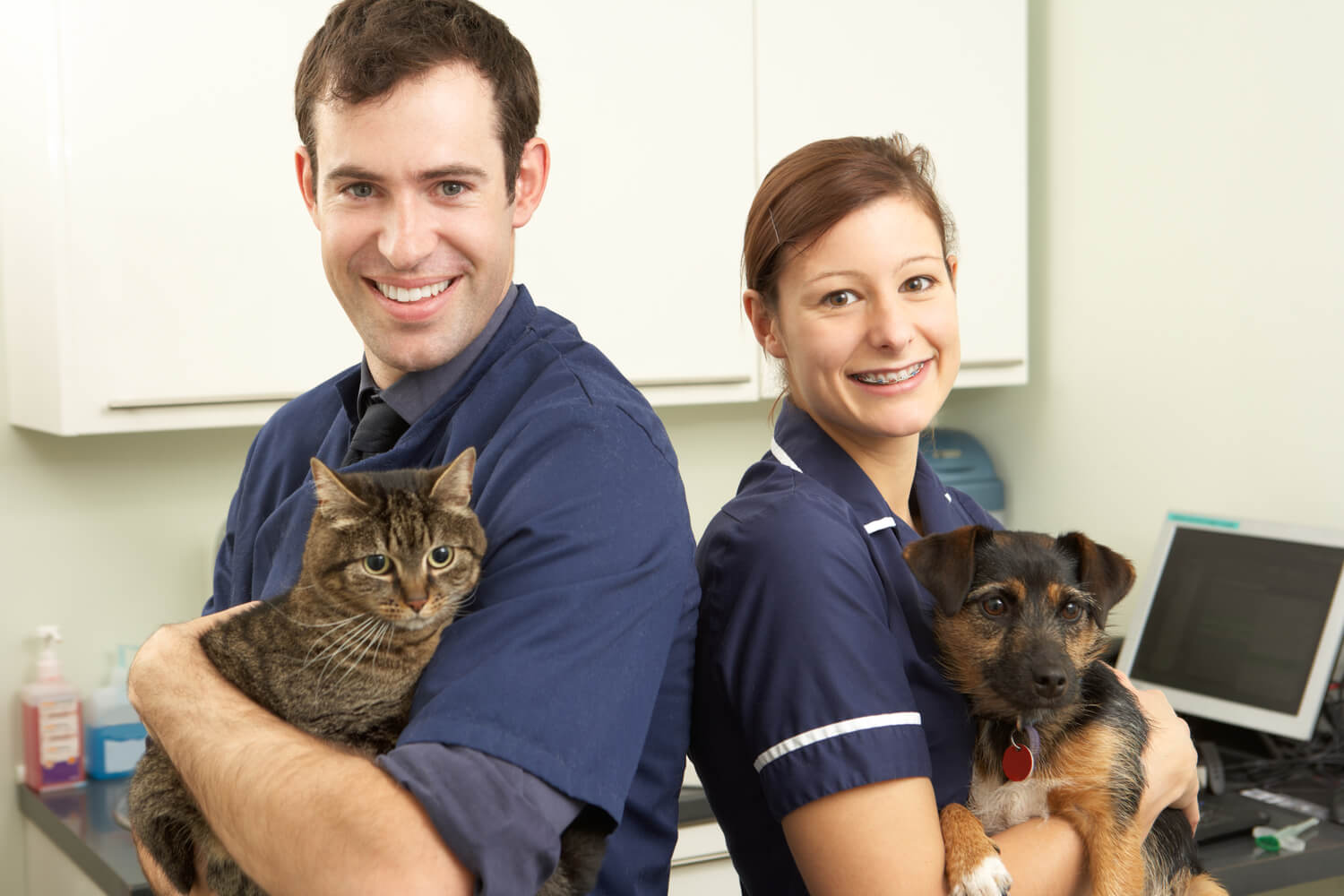 Pet Insurance Policies For Pre-Existing Conditions