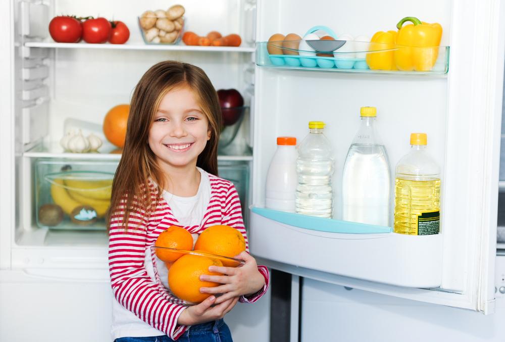 Reviews of the top refrigerators of 2017