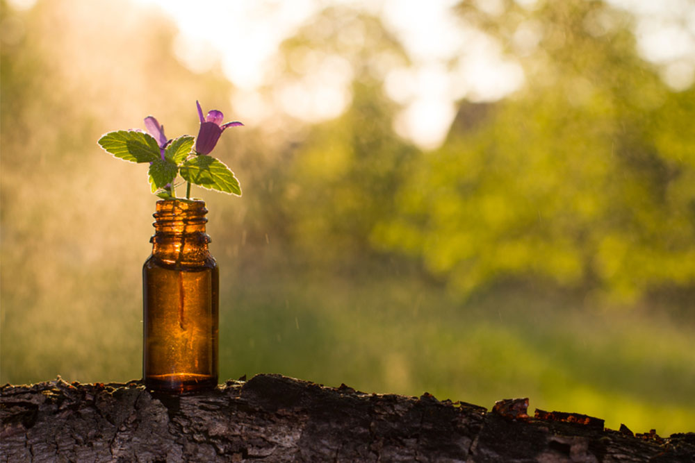 5 natural remedies to treat hair loss in children